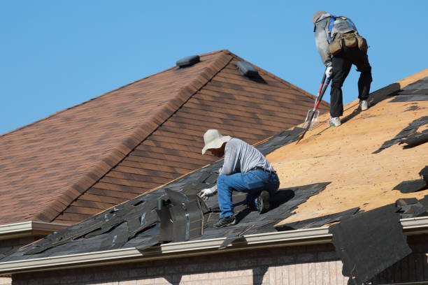 Best Roof Moss and Algae Removal  in St George, UT